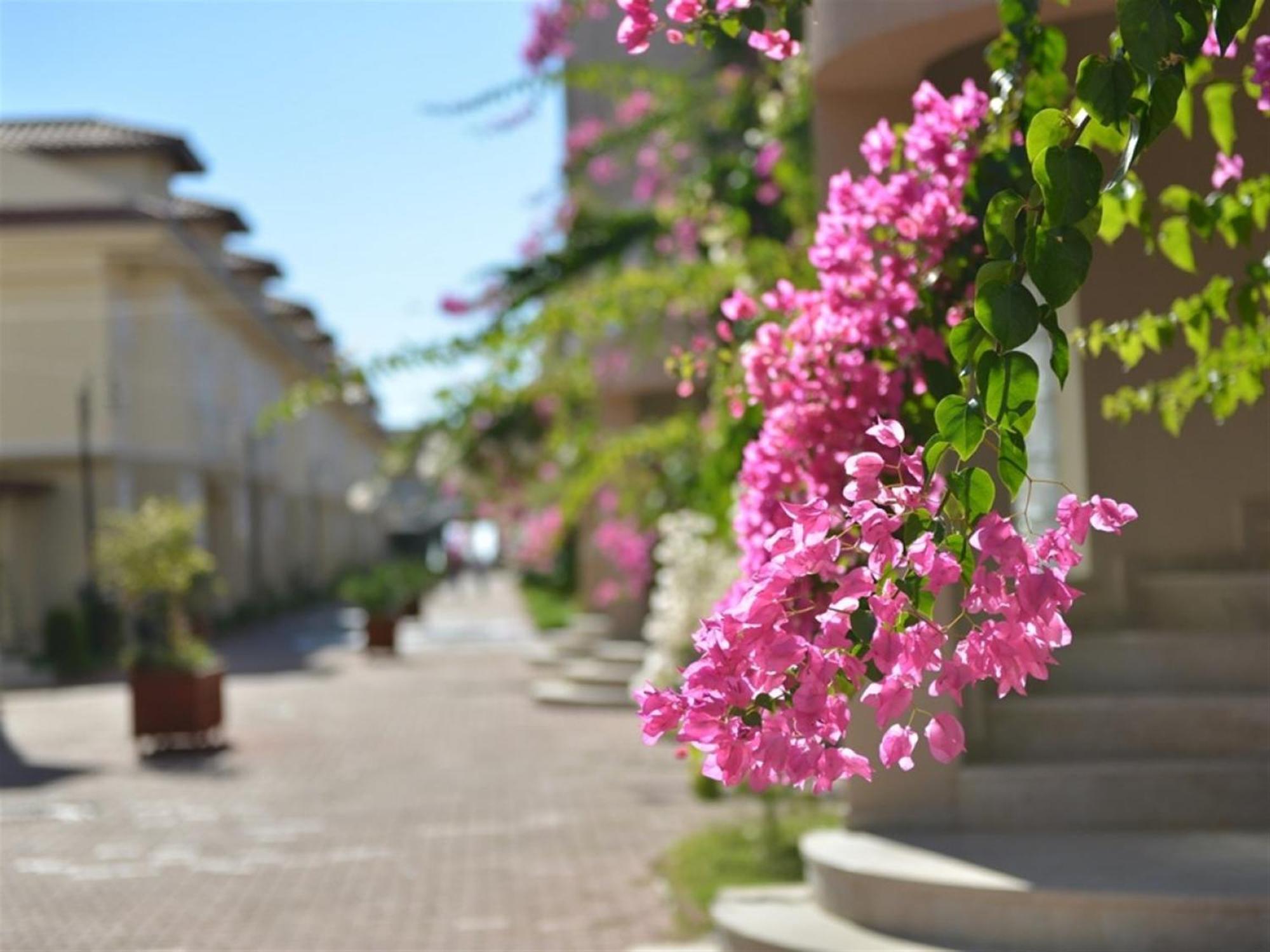 Sunset Beach Club Lebrentals Fethiye Luaran gambar